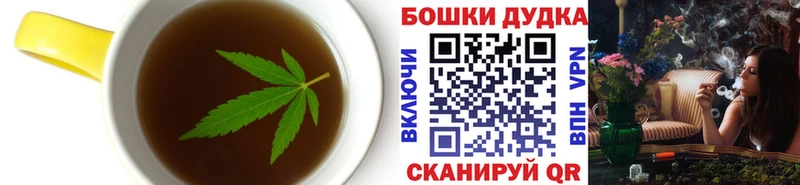 Купить где  Анжеро-Судженск  Canna-Cookies конопля 