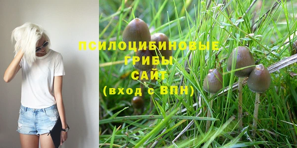 прущие крисы Бронницы