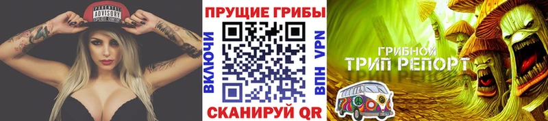 Галлюциногенные грибы Psilocybine cubensis  Купить закладки  Анжеро-Судженск 